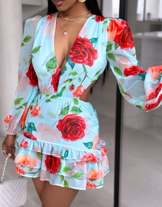 Red Roses Printed Dress